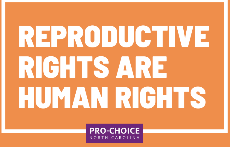 Bodily Rights Resisting Power and Control: Our Interconnected Fight for Bodily ...